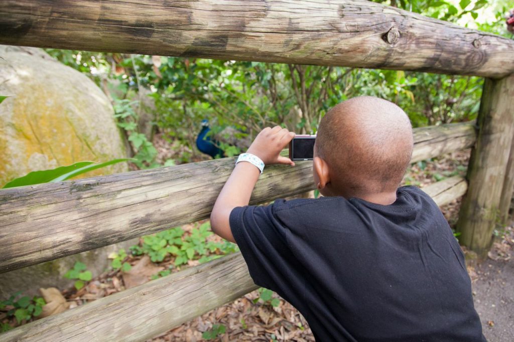 Pablove Shutterbugs at the Audubon Zoo