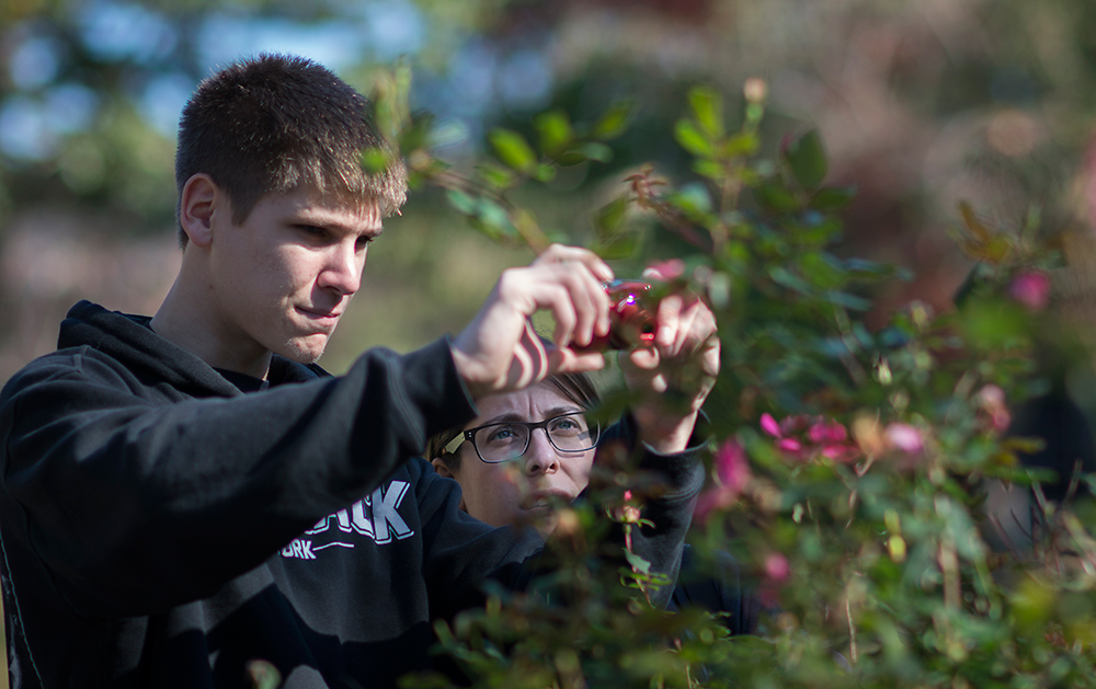 Shutterbugs in Stony Brook