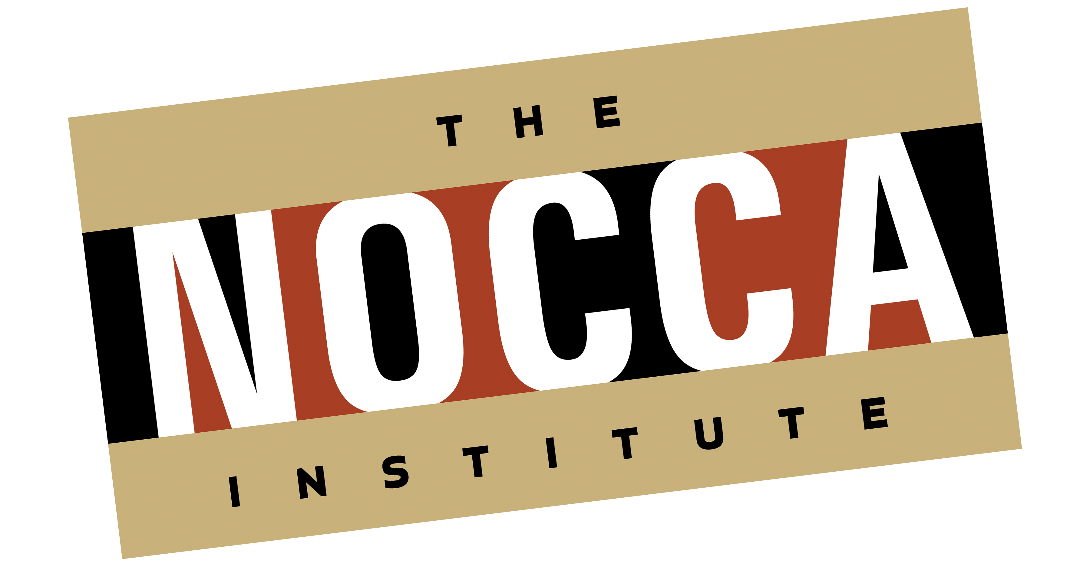 The NOCCA Institute