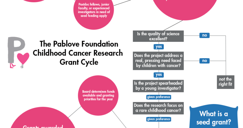 Our Grant Cycle