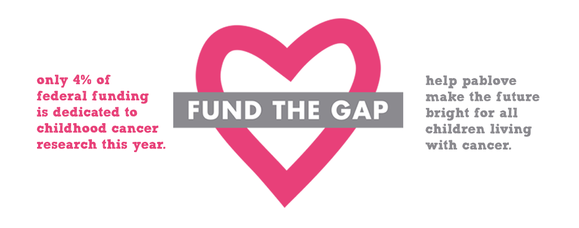 Fund-The-Gap-HERO