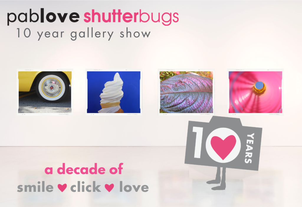 pablove shutterbugs - 10 year gallery show. a decade of smile, click, love