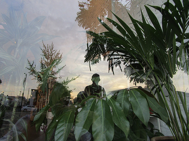 Simone_10_A-Jungle-through-the-Looking-Glass_F21WCY